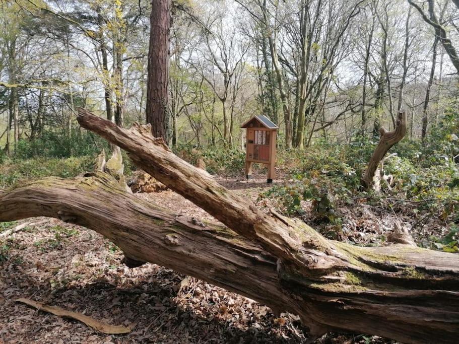 Pebble Cottage Uny Lelant Dış mekan fotoğraf